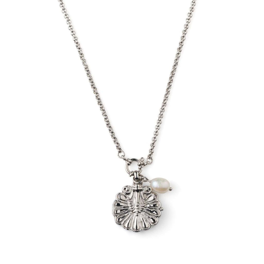 Venus Shell Locket Necklace