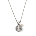 Venus Shell Locket Necklace