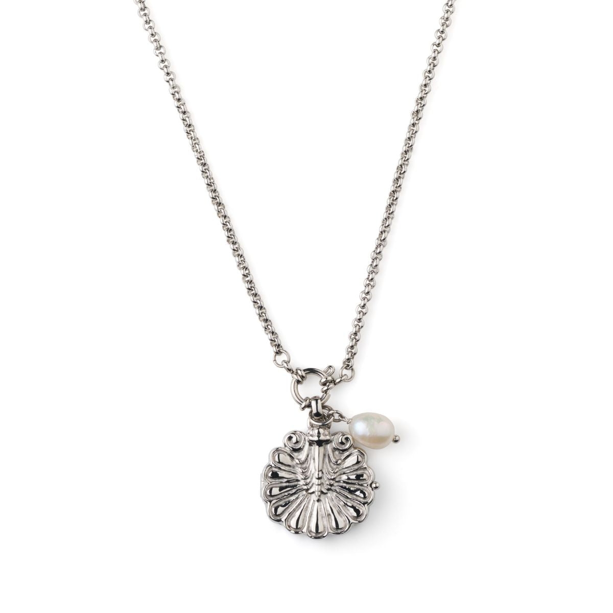 Venus Shell Locket Necklace