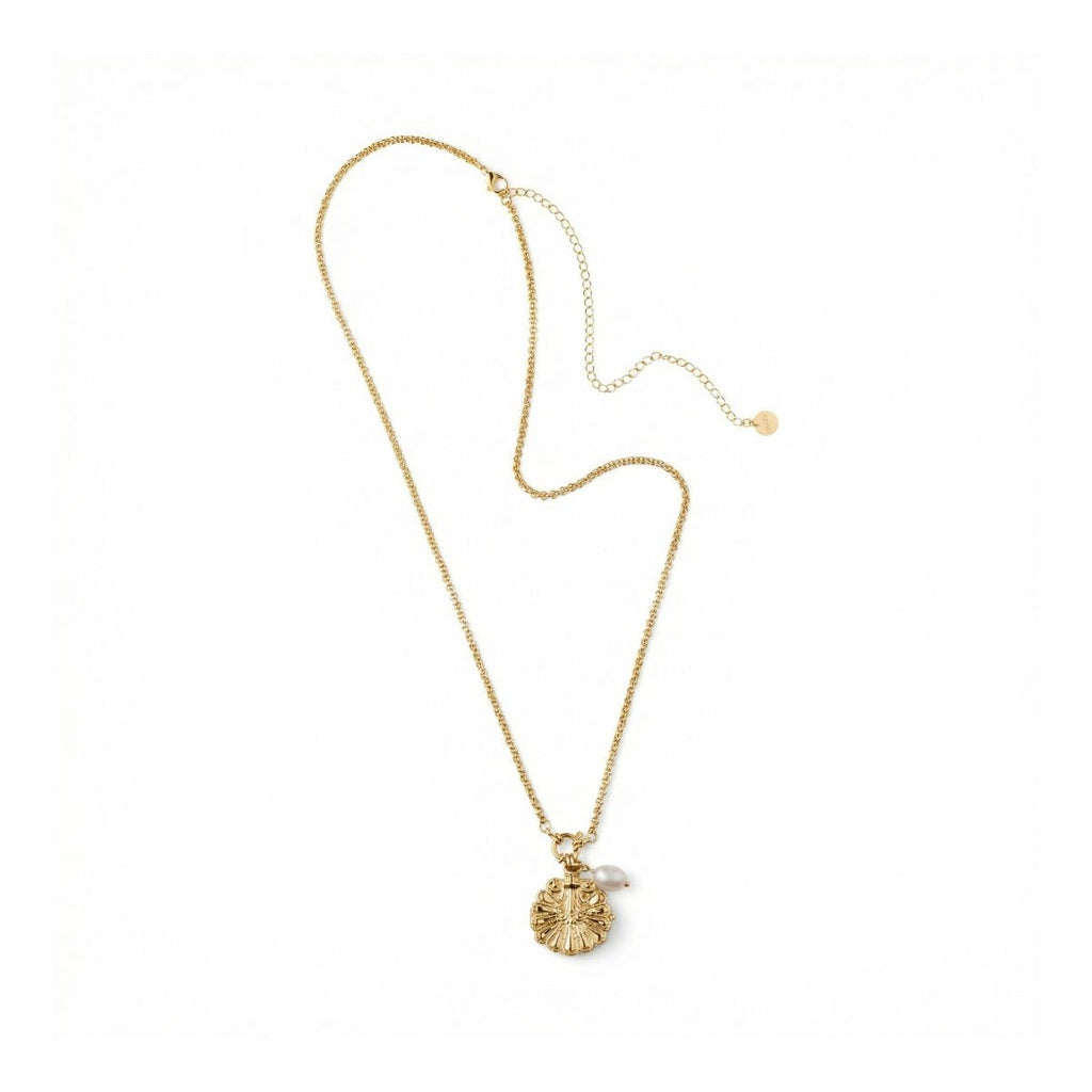 Venus Shell Golden Locket Necklace