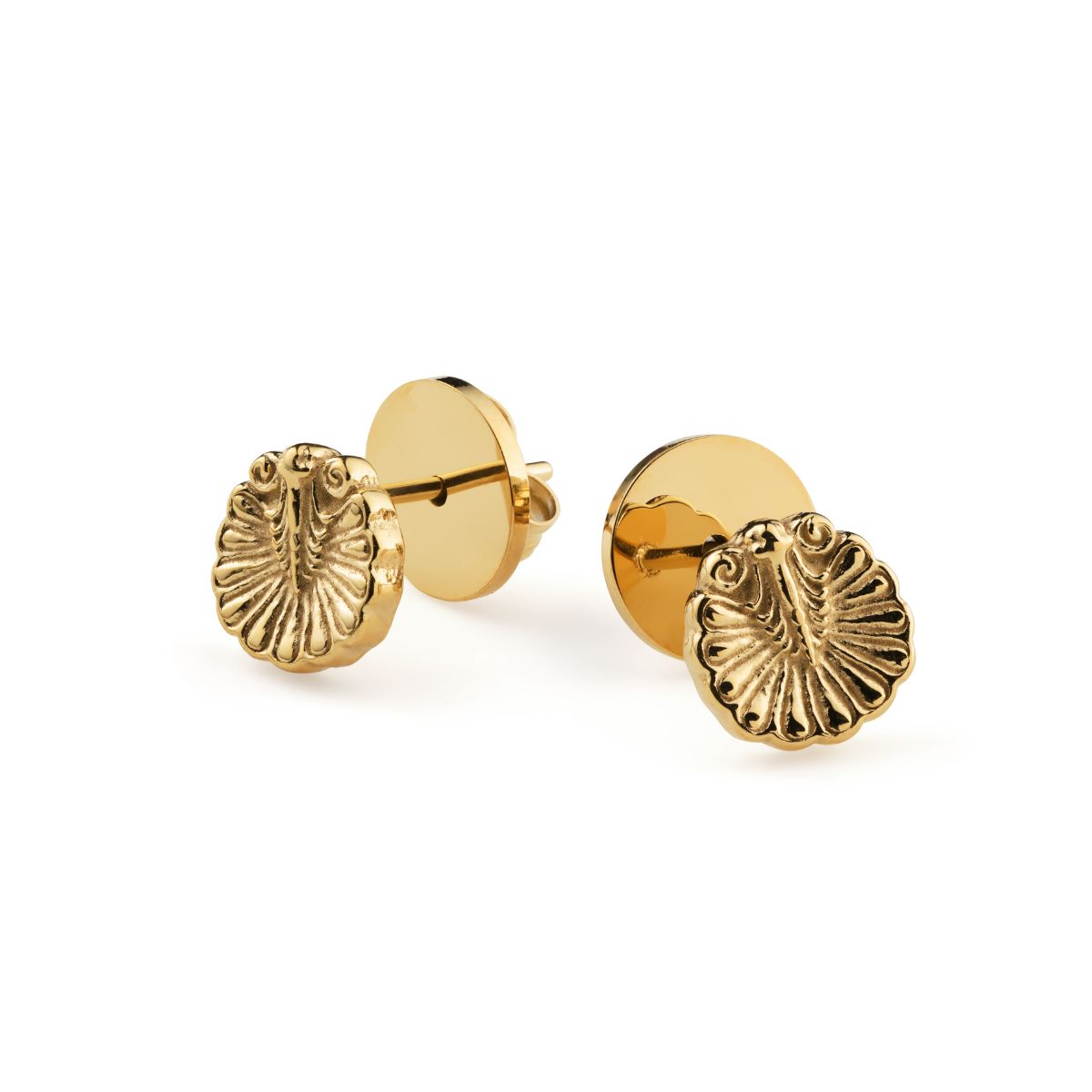 Venus Shell Golden Earrring